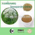 Snowparsley Extract Powder/Snowparsley Extract/Fructus cnidii Extracts